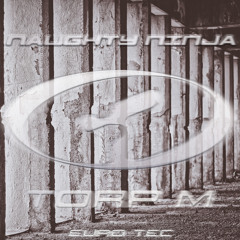 Fly High (Flex Mix)