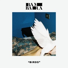 Bambara - Birds (from the album 'Love on My Mind' out 2/25)