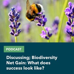 Discussing; Biodiversity Net Gain: what does success look like?