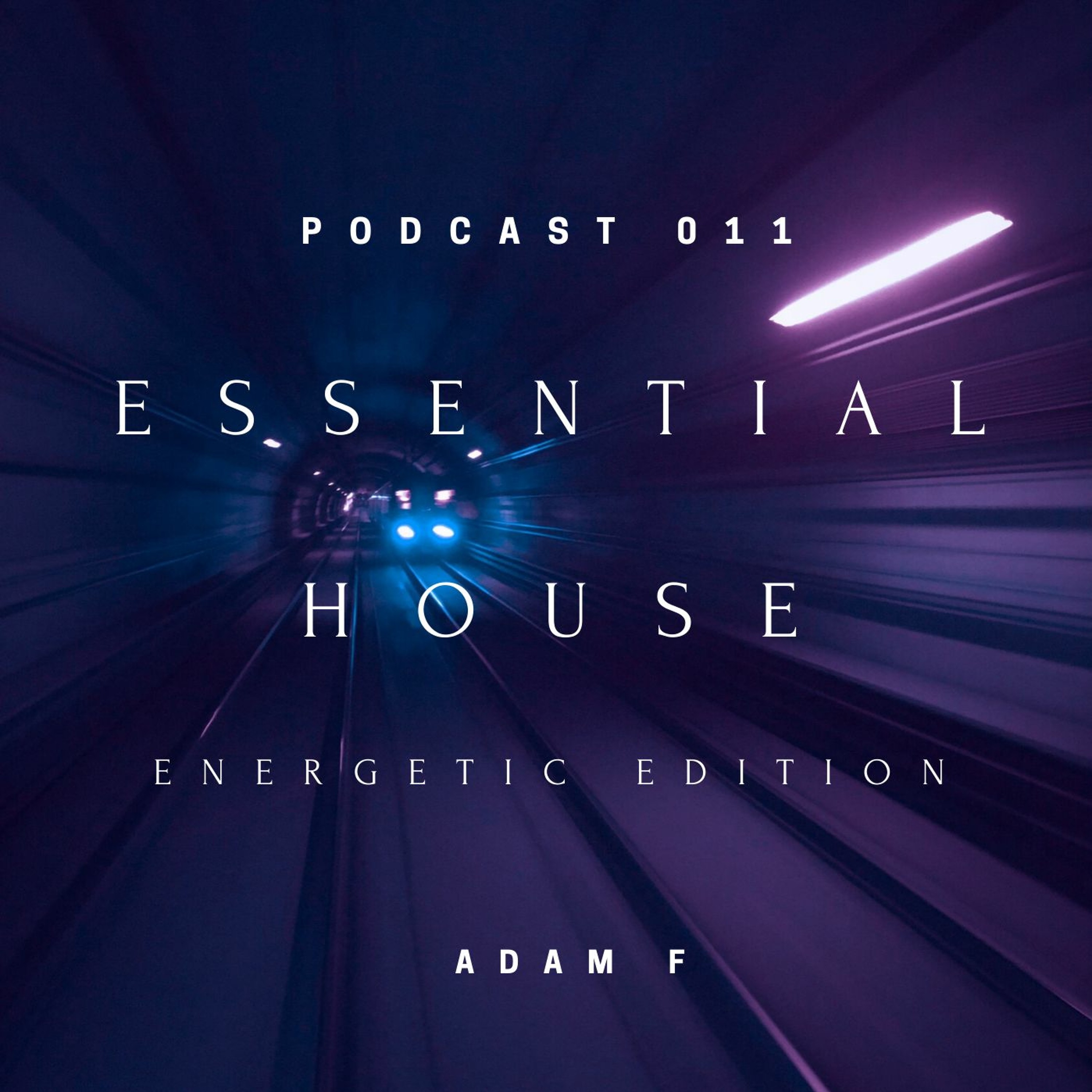 Essential House - 011