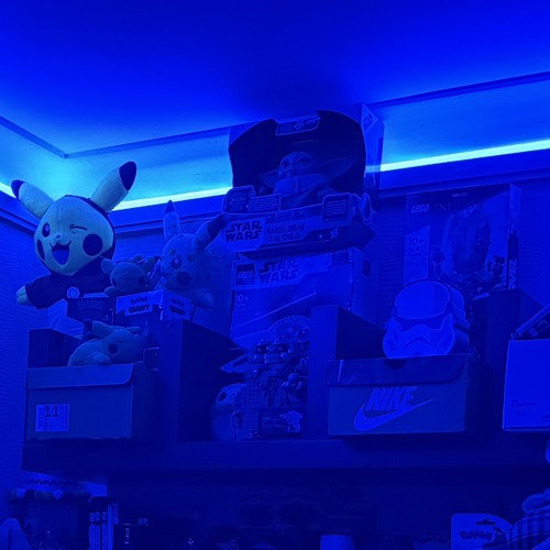 Bolo CDF - Semi Serious - Shella's in the Shed