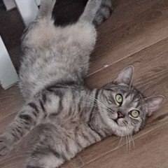 Pezet - Miłość na sprzedaż