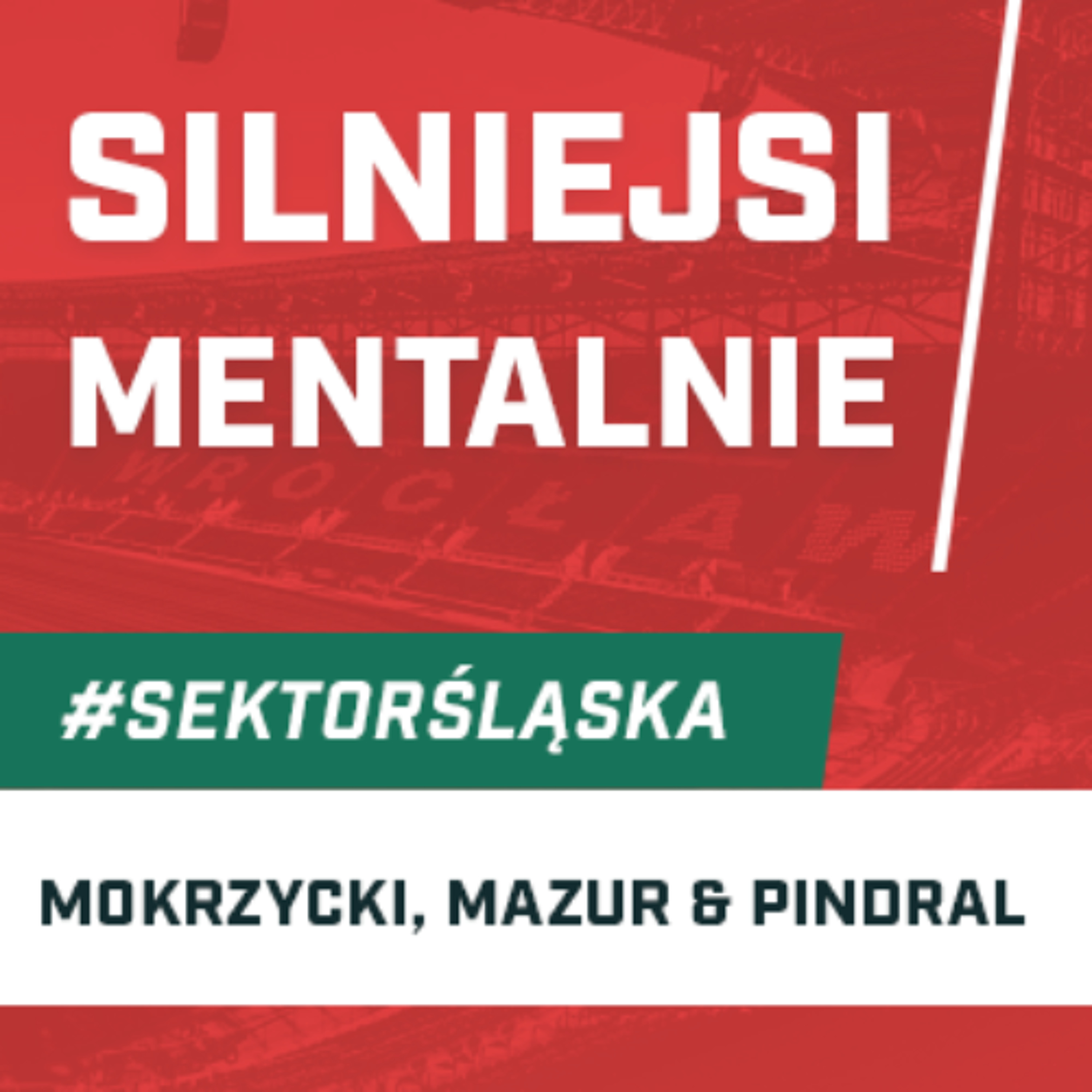 Śląsknet