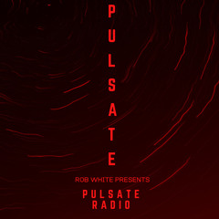 PULSATE Radio with KIPPAX | 020