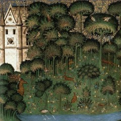The Strange Garden
