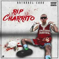 Natanael Cano - RIP Charrito (Tiradera Pa Ovi) (Audio Oficial)