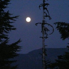 wait for the moon
