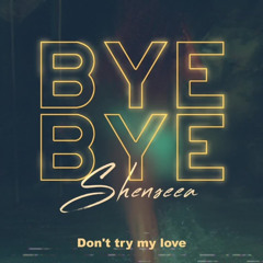 Shenseea - Bye Bye