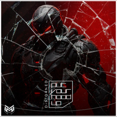 D-Storned - Put Your Hood Up
