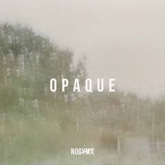 Opaque ⛩ [Japanese Lofi Hip Hop]