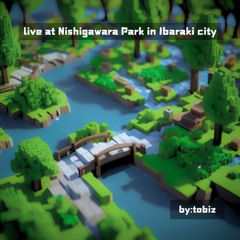 Live at Nishigawara Park in Ibaraki city