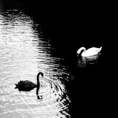 Jennifer’s Body (Frostmix)