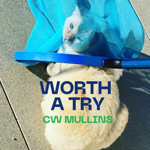 Worth A Try