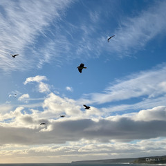 Nas Nuvens