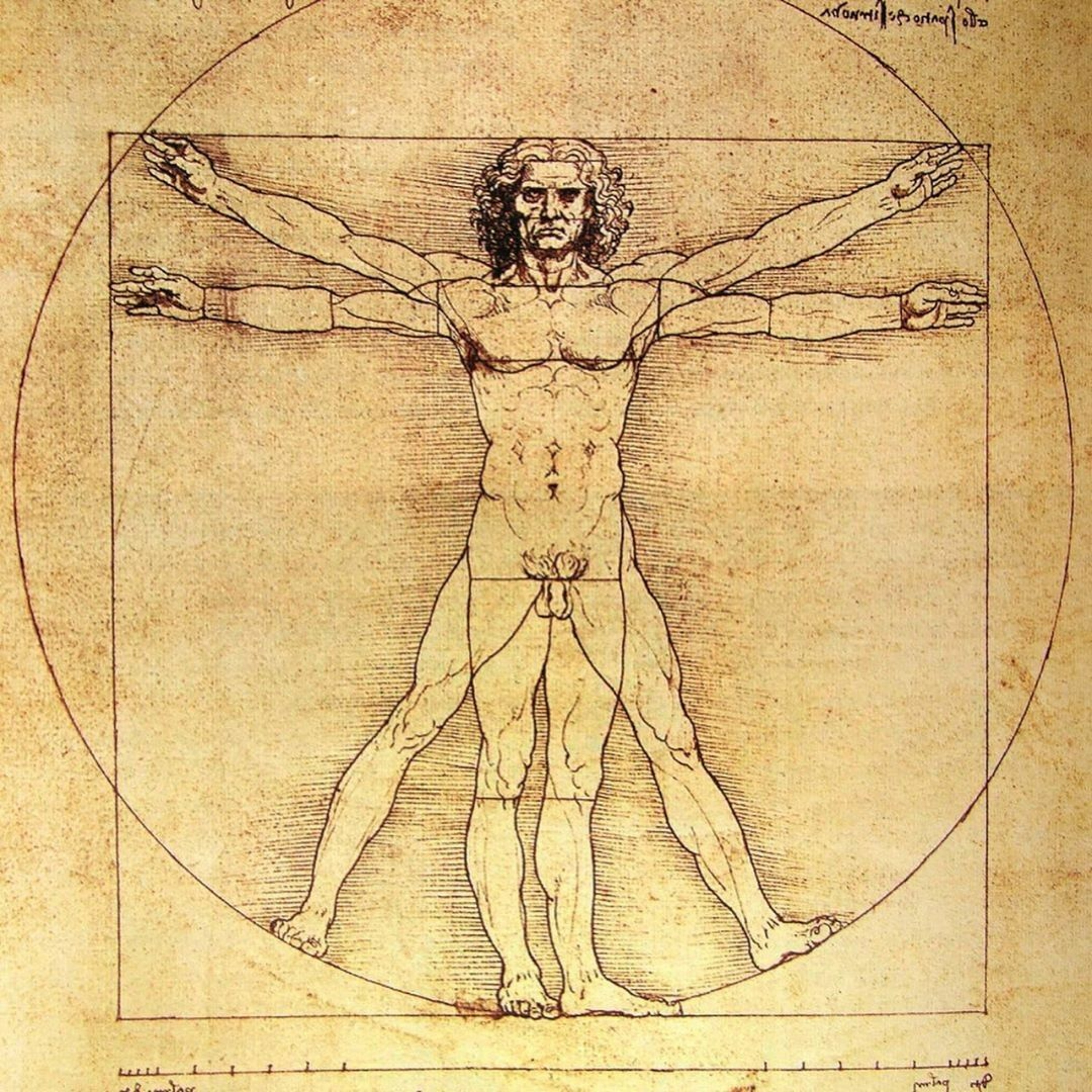 Aulas de História