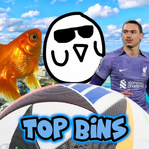 TOP BINS (feat. fishflakes and PeetsBeats)