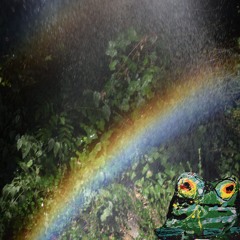and the region has returned to its natural rain soaked state