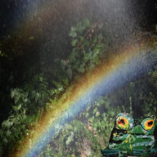 and the region has returned to its natural rain soaked state