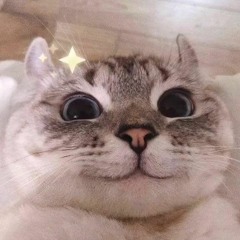Tama - Guitar