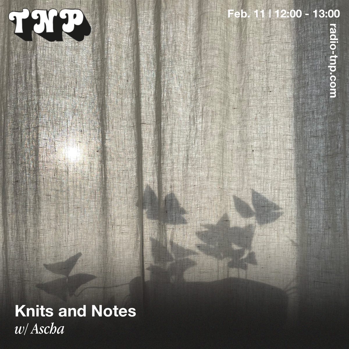 Knits and Notes w/ Ascha