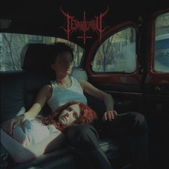 not gonna get us [t.A.T.u. remix] - FREE DL