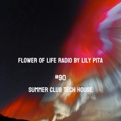 Summer vibes club tech house