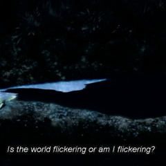 and in some sense, you were there with me