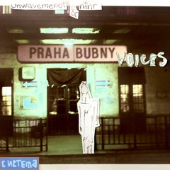 NFNR & unwavemenot - "Bubny Voices"