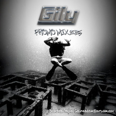 GILY (PROMO MIX 2025)