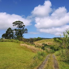 Sara's Sojourns, The Road To Mahilani