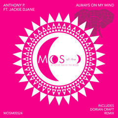 Always On My Mind (Extended Mix)