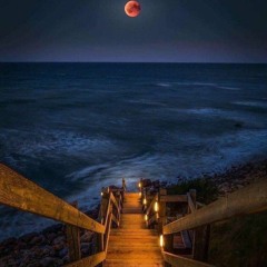 كُلُّ مَنۡ عَلَیۡهَا فَانࣲ | أحمد نعينع