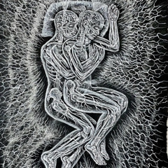 Take 5 - The Waterpossums