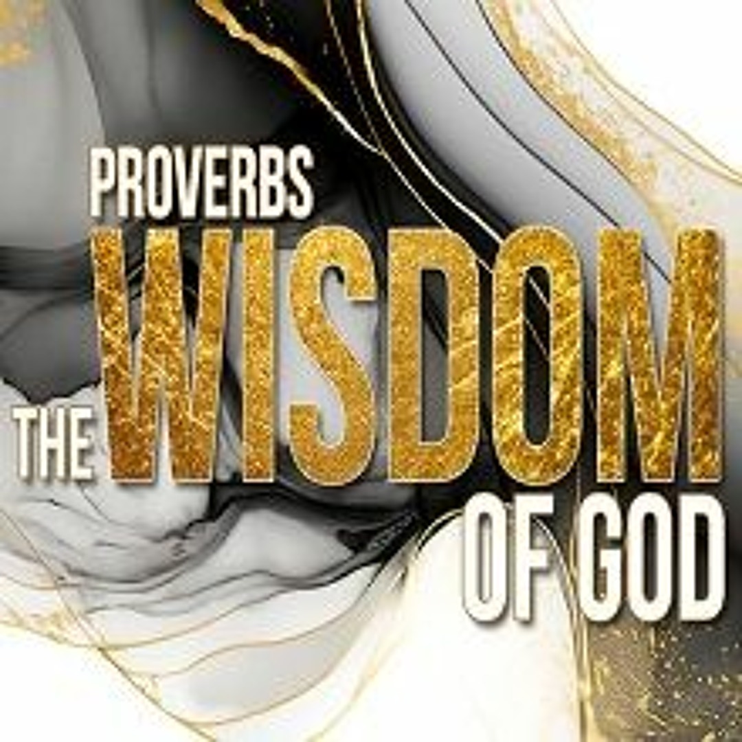 Stream Avoid the Folly of Foolish Risk, Laziness, & Sowing Discord ...