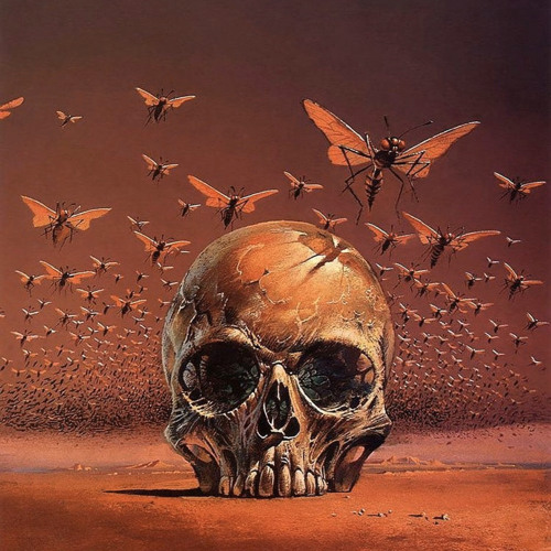 parallel dreams [127 BPM]