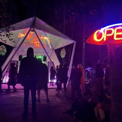 Burn in the Forest/What If -Burning Man Vancouver Regional event