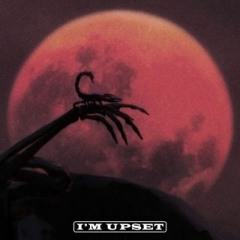 Drake - Im Upset