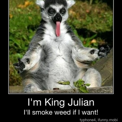 King Julien Is A Junglist (I Like To Skank It Mix)