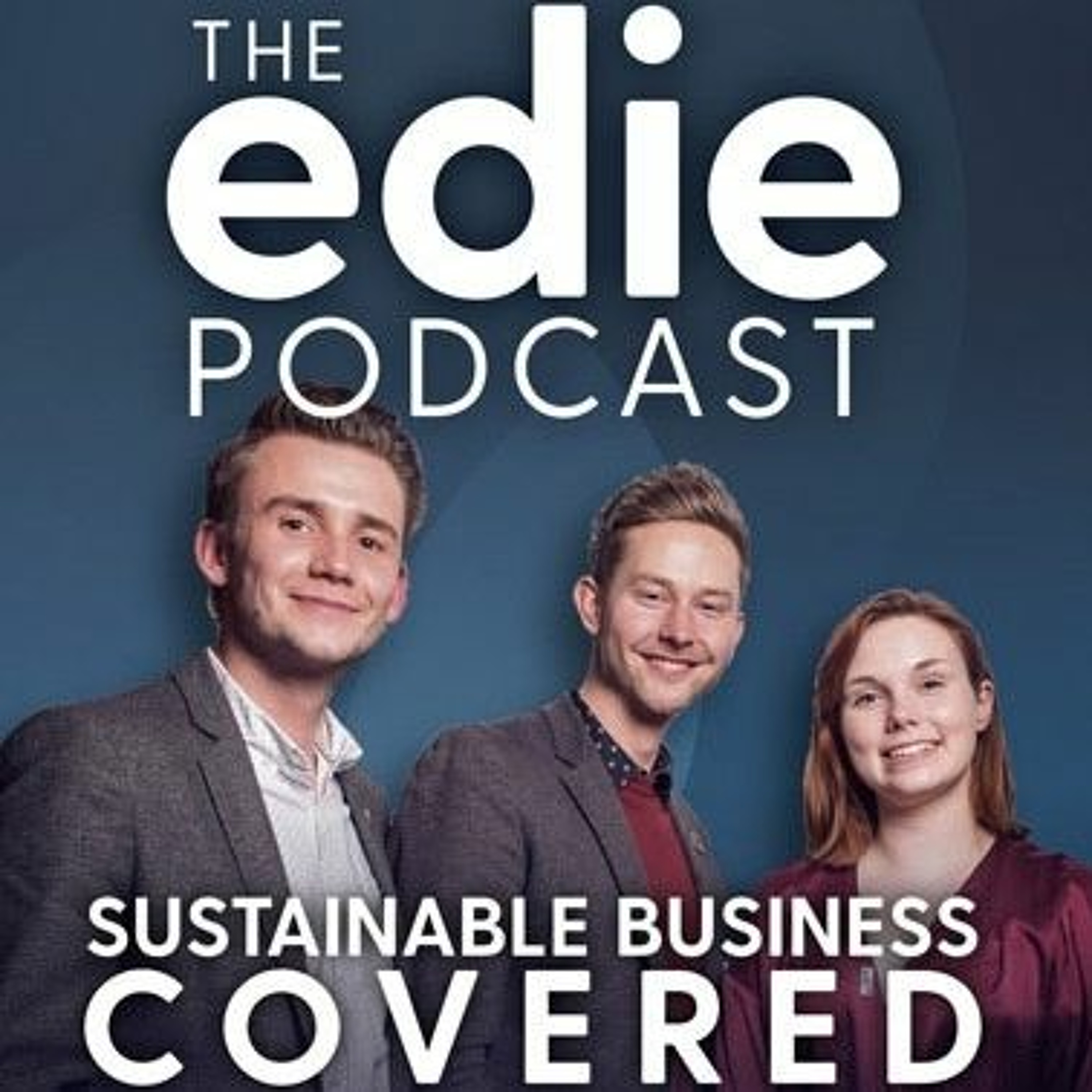 Episode 110: How can the law be used to deliver net-zero?