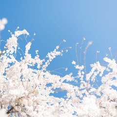 Feel The Same - Original Composition (Prod. Matthew May, TimiBeats & ScandiBeats)