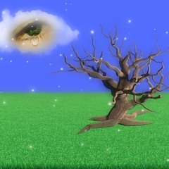 simple prod vsttorrenting