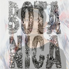 Iori Wakasa Vinyl Only DJ Mix "Botanica"