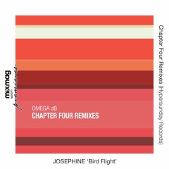 OMEGA dB - Bird Flight (Josephine Remix) [Hypersunday Records]