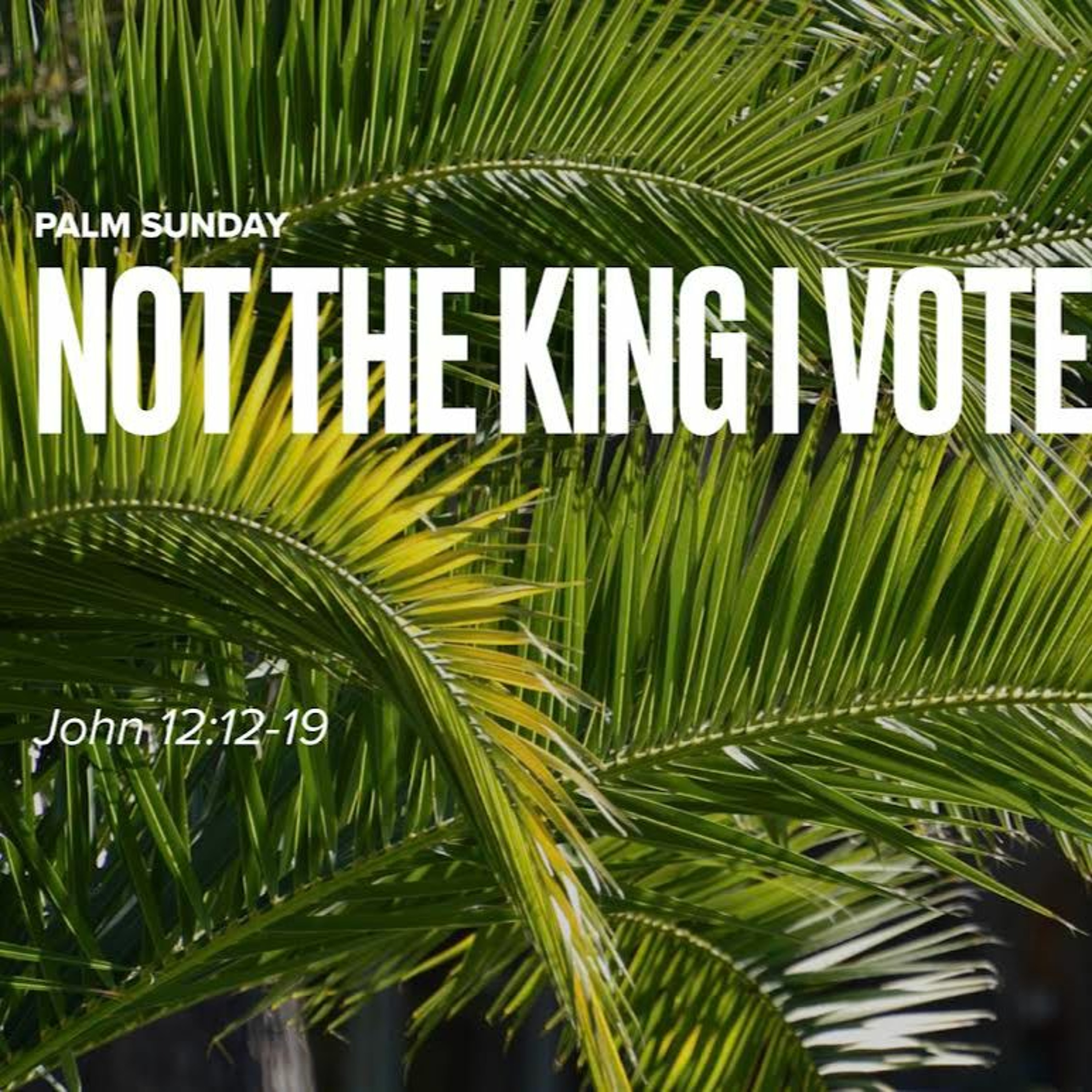 4-2-23 "Not The King I Voted For" John 12:12-19 - Pastor Kjolhaug episode artwork