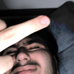 cheme freestyle