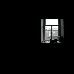 Koalafide - Chamber Of Reflection (Mac DeMarco Cover)