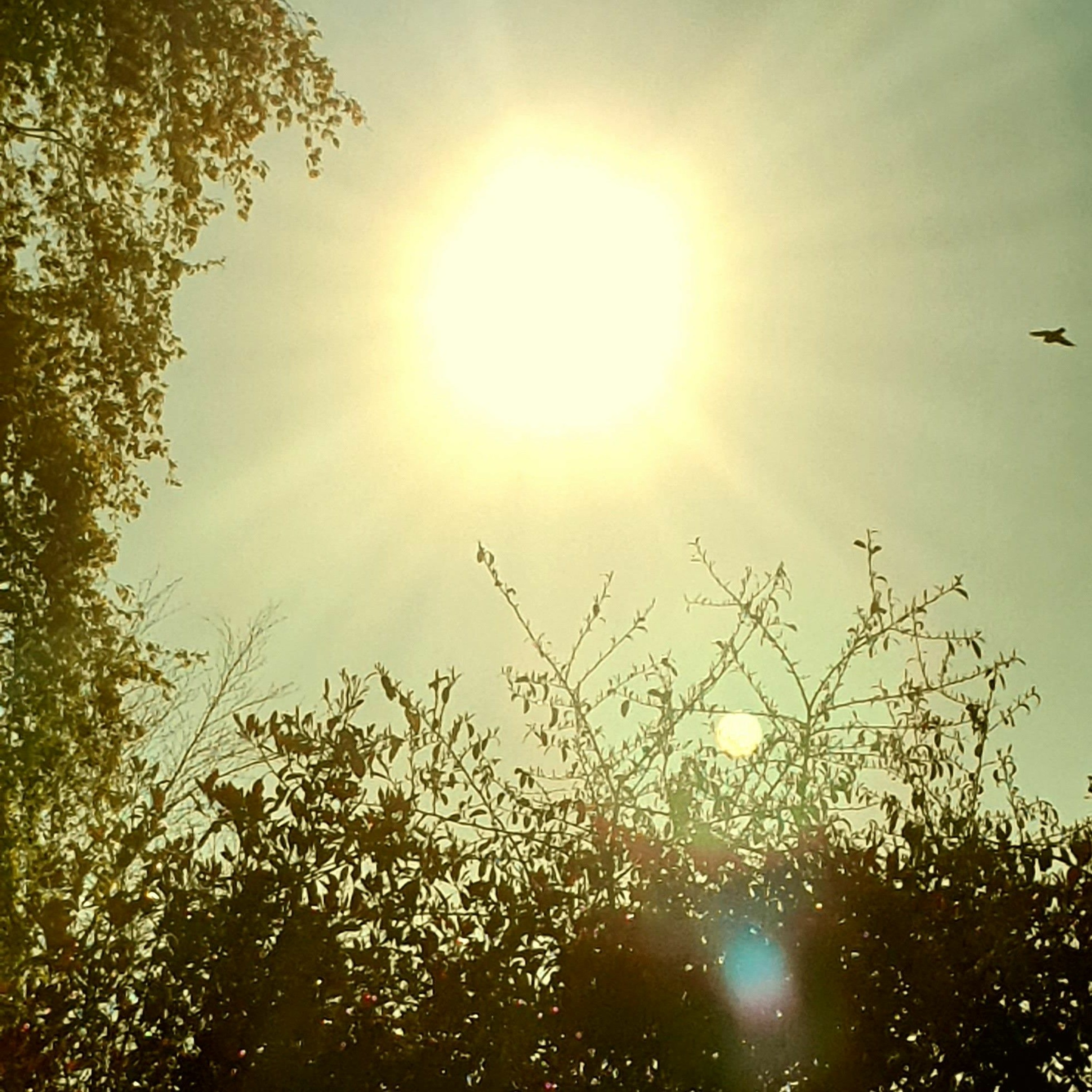 Ambient Sparkle episode artwork