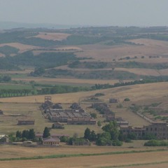 Far Away Bees On A Summers Day