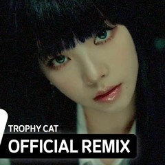 aespa 에스파 'Girls' Trophy Cat Remix