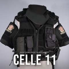 Sentralisering, Spesialisering, Standardisering - Ep 10 (S4) Politirettshistorie